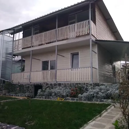 орлите